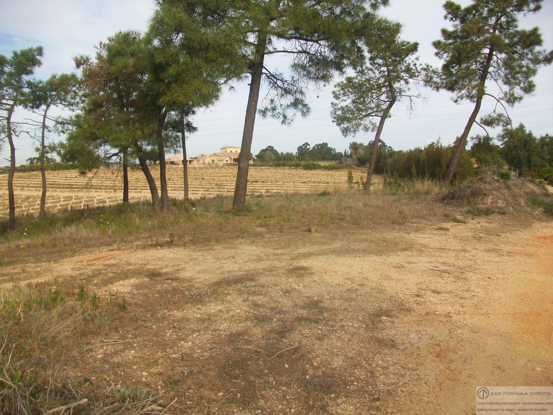 For sale of  in Lepe