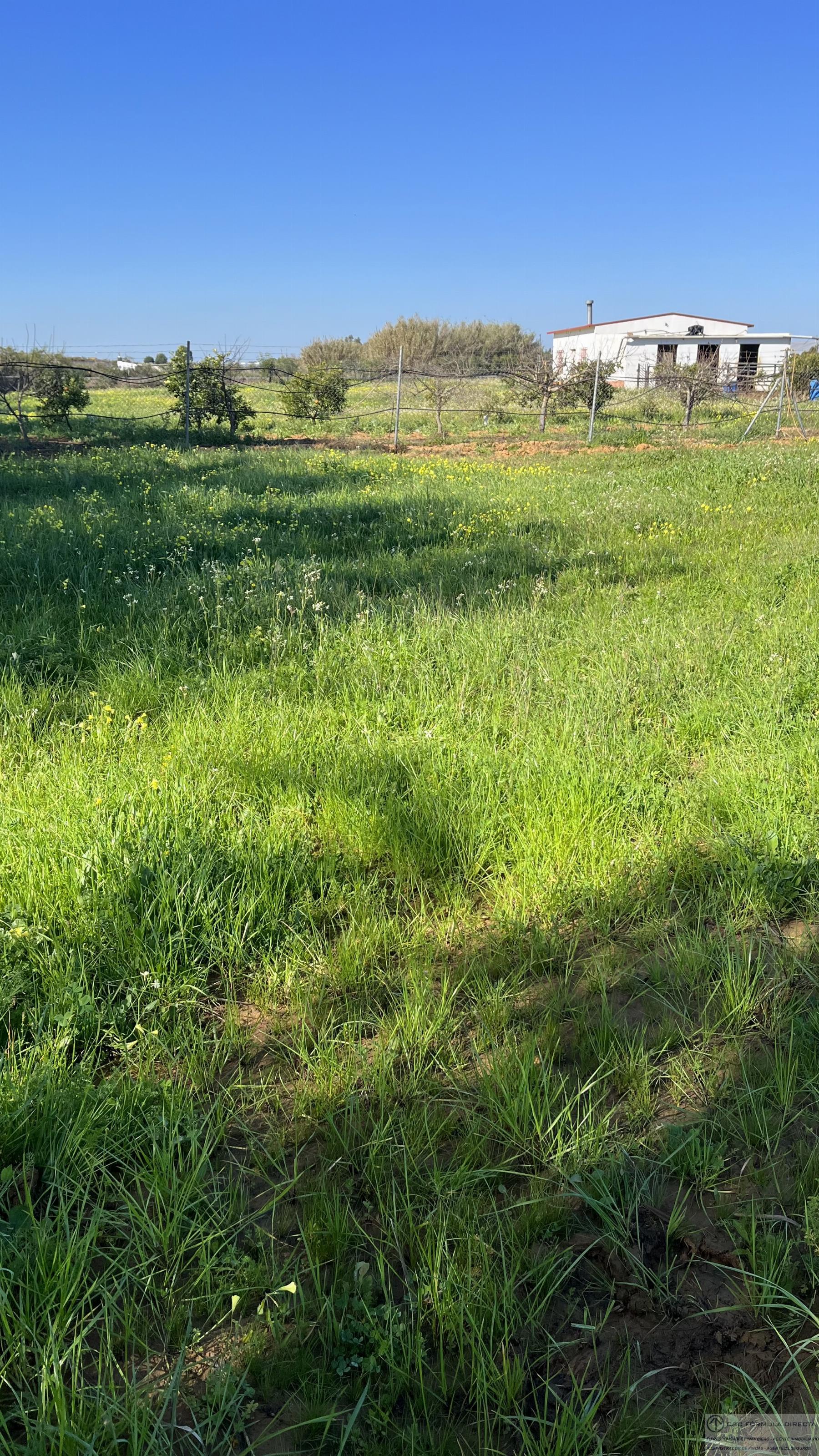 Venda de fazenda recreação em Lepe