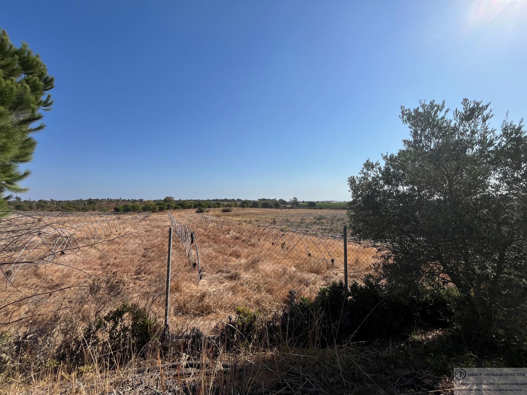Venta de terreno en Lepe