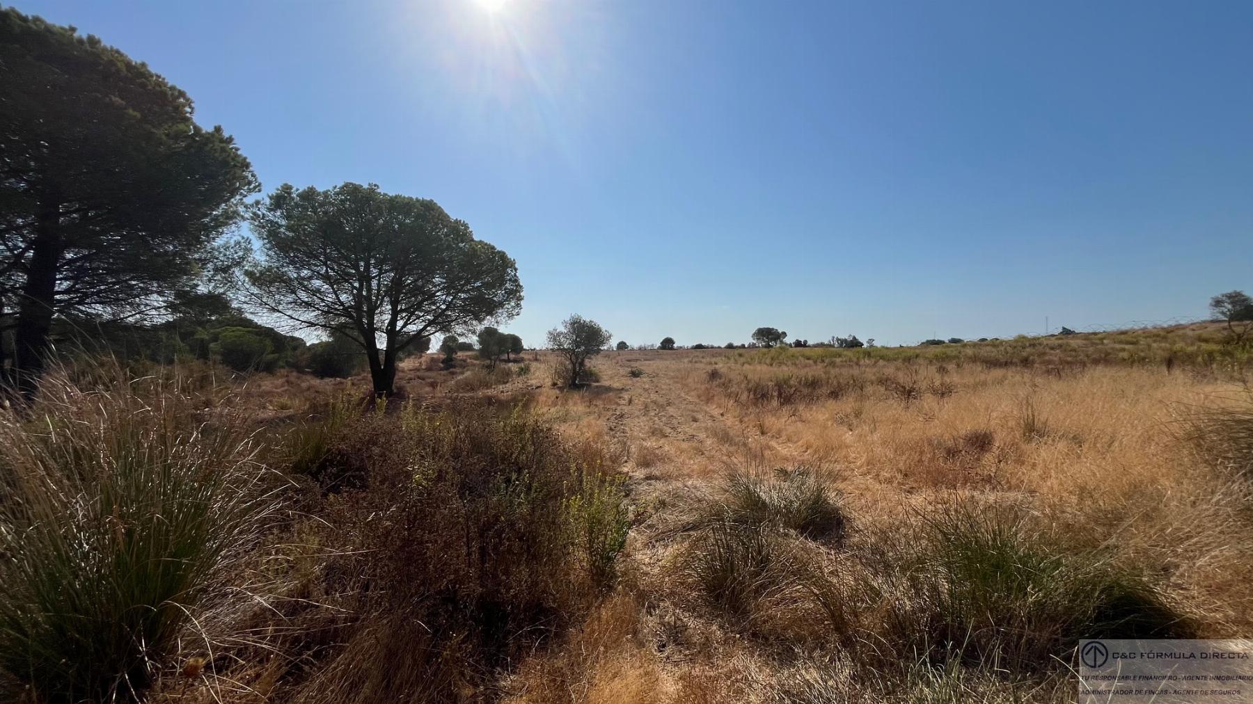 Venta de terreno en Lepe