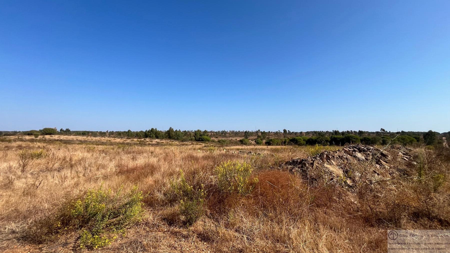Venta de terreno en Lepe