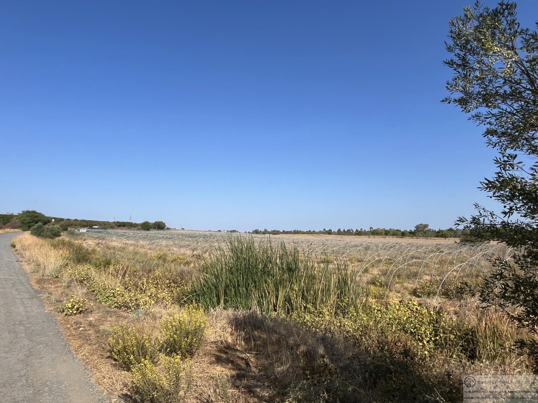 Venta de terreno en Lepe