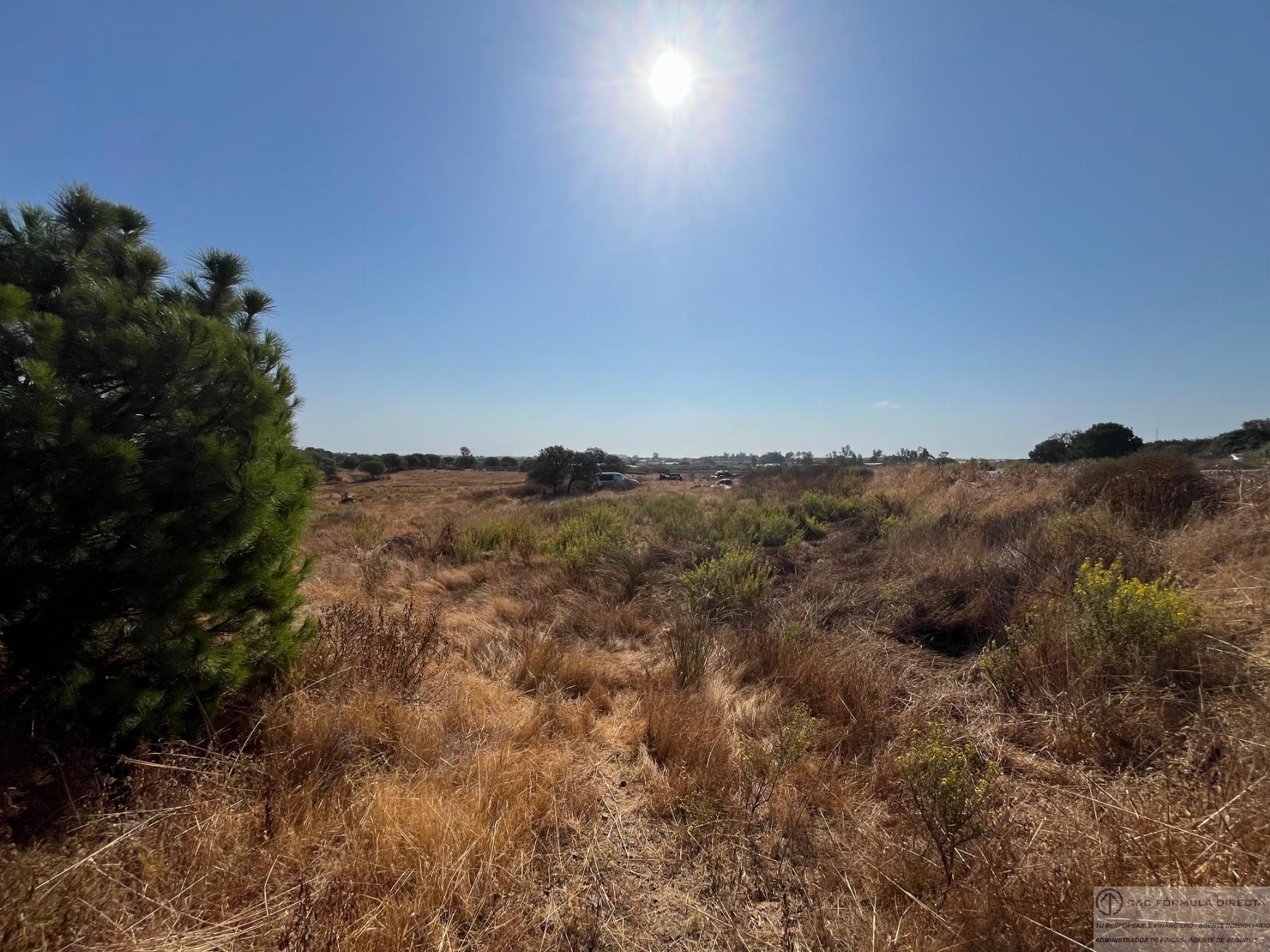 Venta de terreno en Lepe