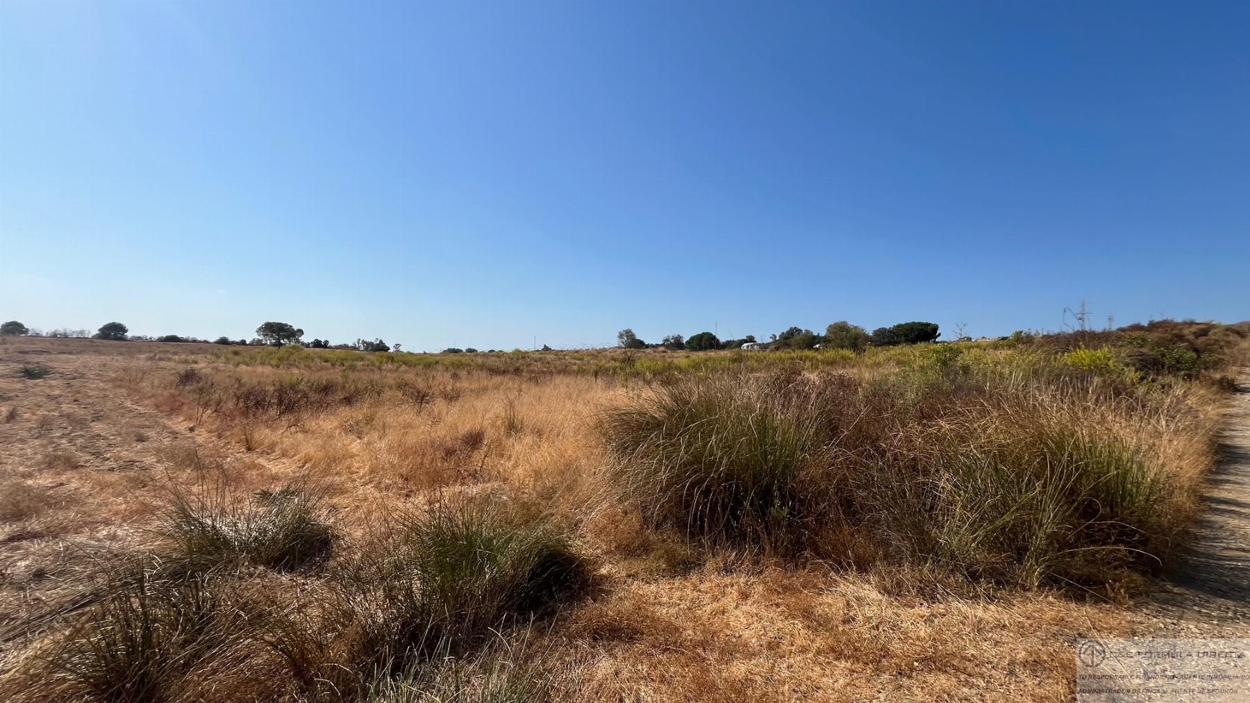 Venta de terreno en Lepe
