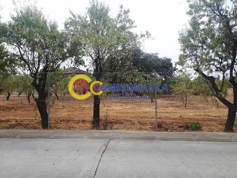 For sale of land in Pepino