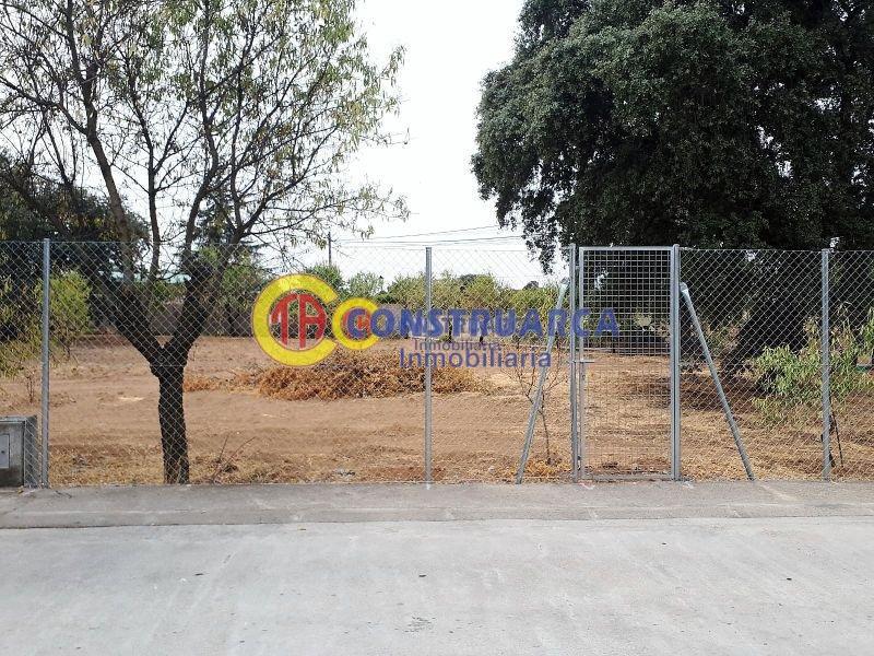 Venda de terreny a Pepino