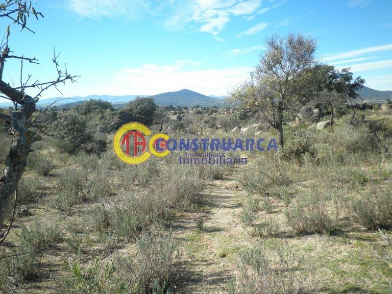 For sale of land in Aldeanueva de Barbarroya