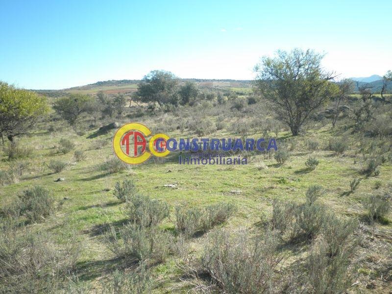 For sale of land in Aldeanueva de Barbarroya