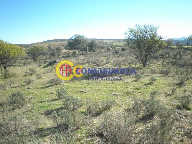 Venta de terreno en Aldeanueva de Barbarroya