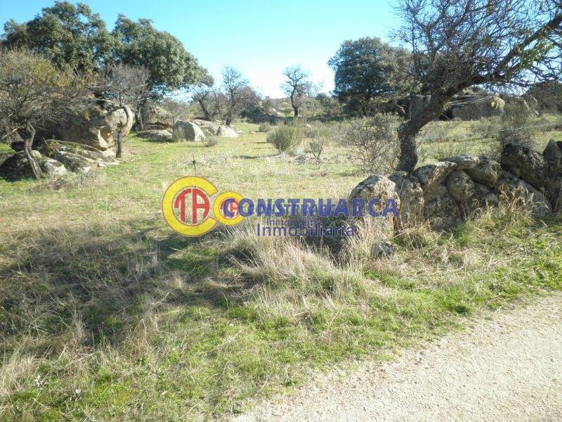 For sale of land in Aldeanueva de Barbarroya