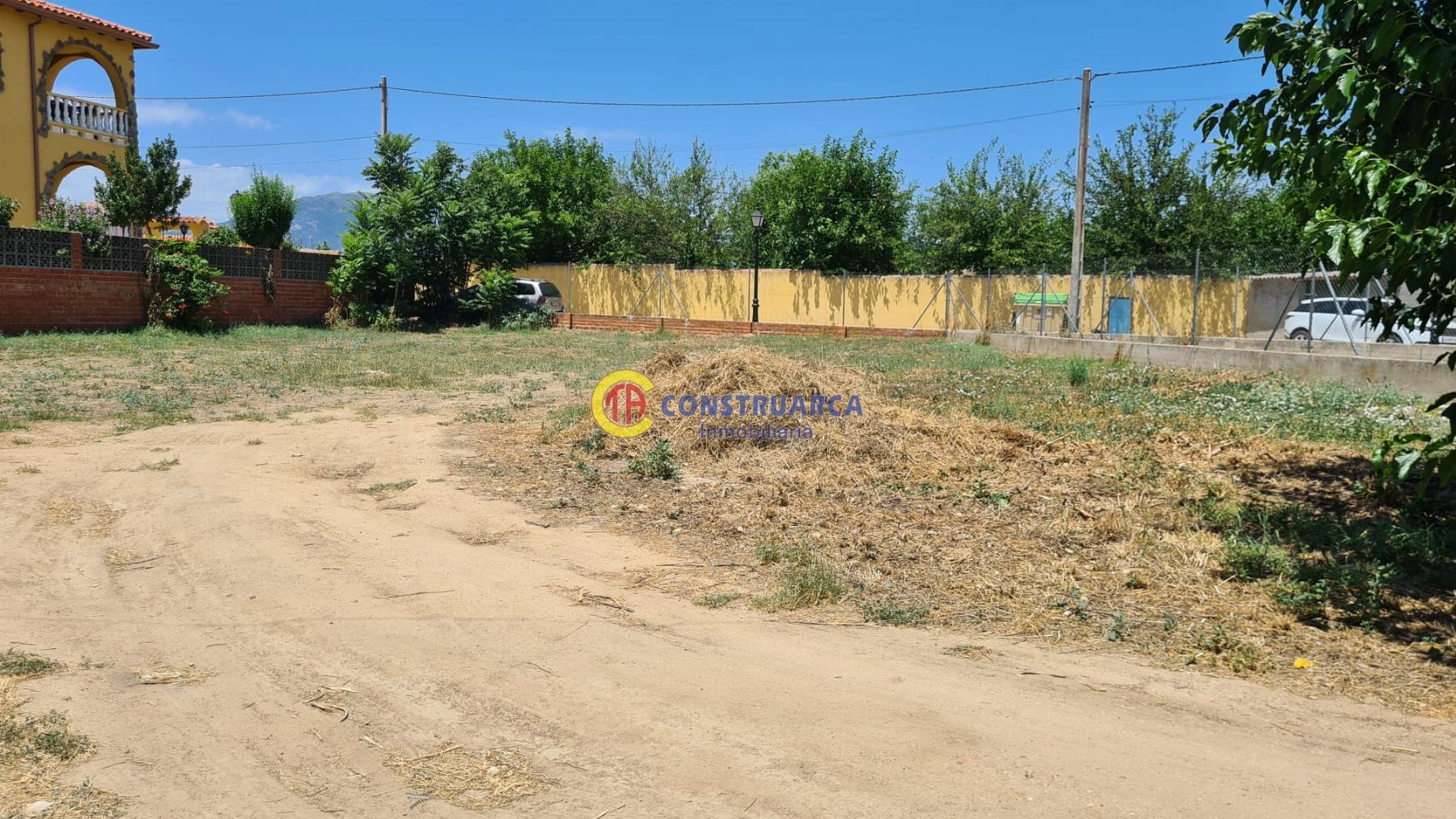 For sale of land in Cardiel de los Montes