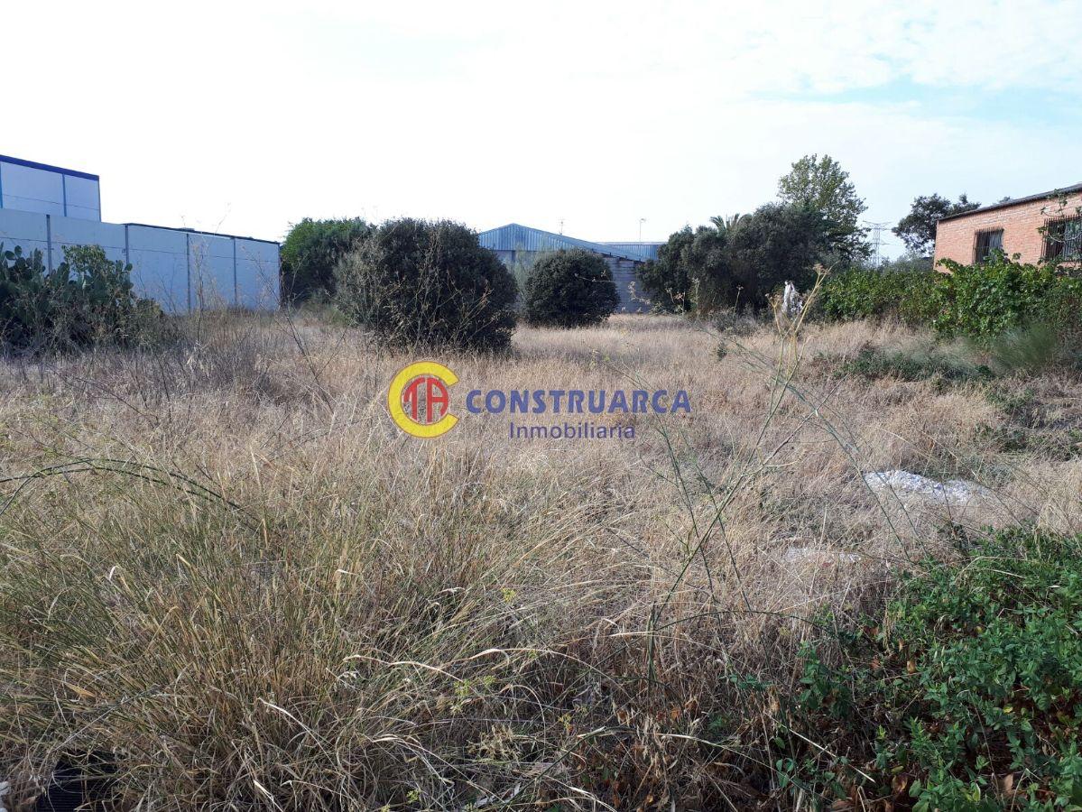 For sale of land in Pepino