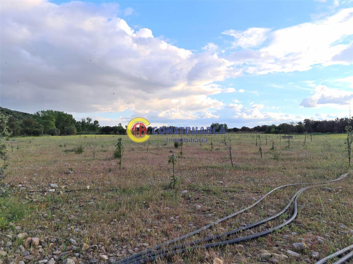 Venta de terreno en Malpica de Tajo