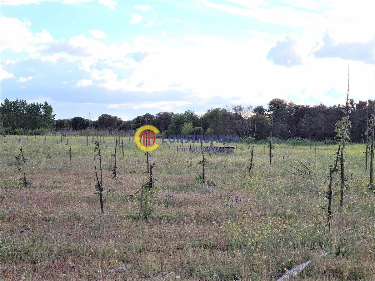 Venta de terreno en Malpica de Tajo