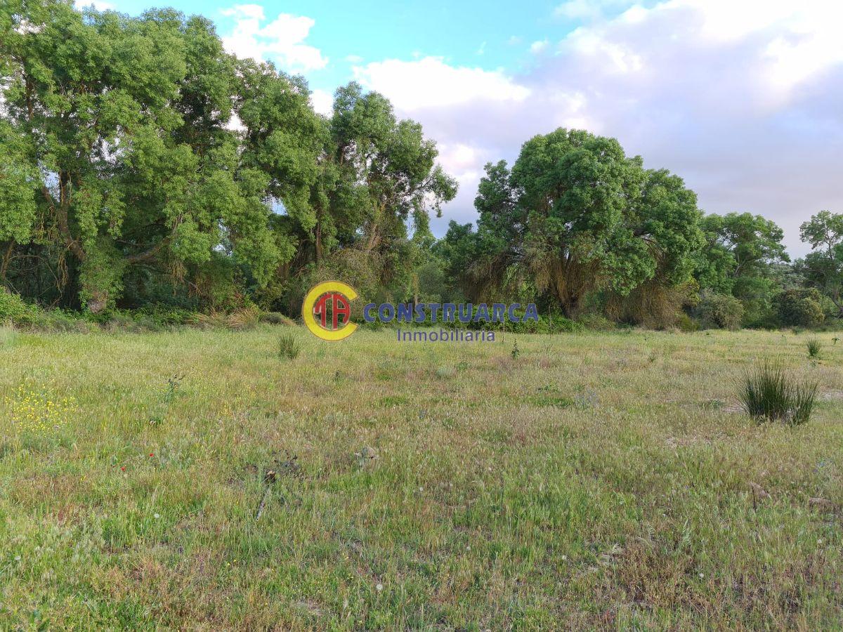 For sale of land in Malpica de Tajo