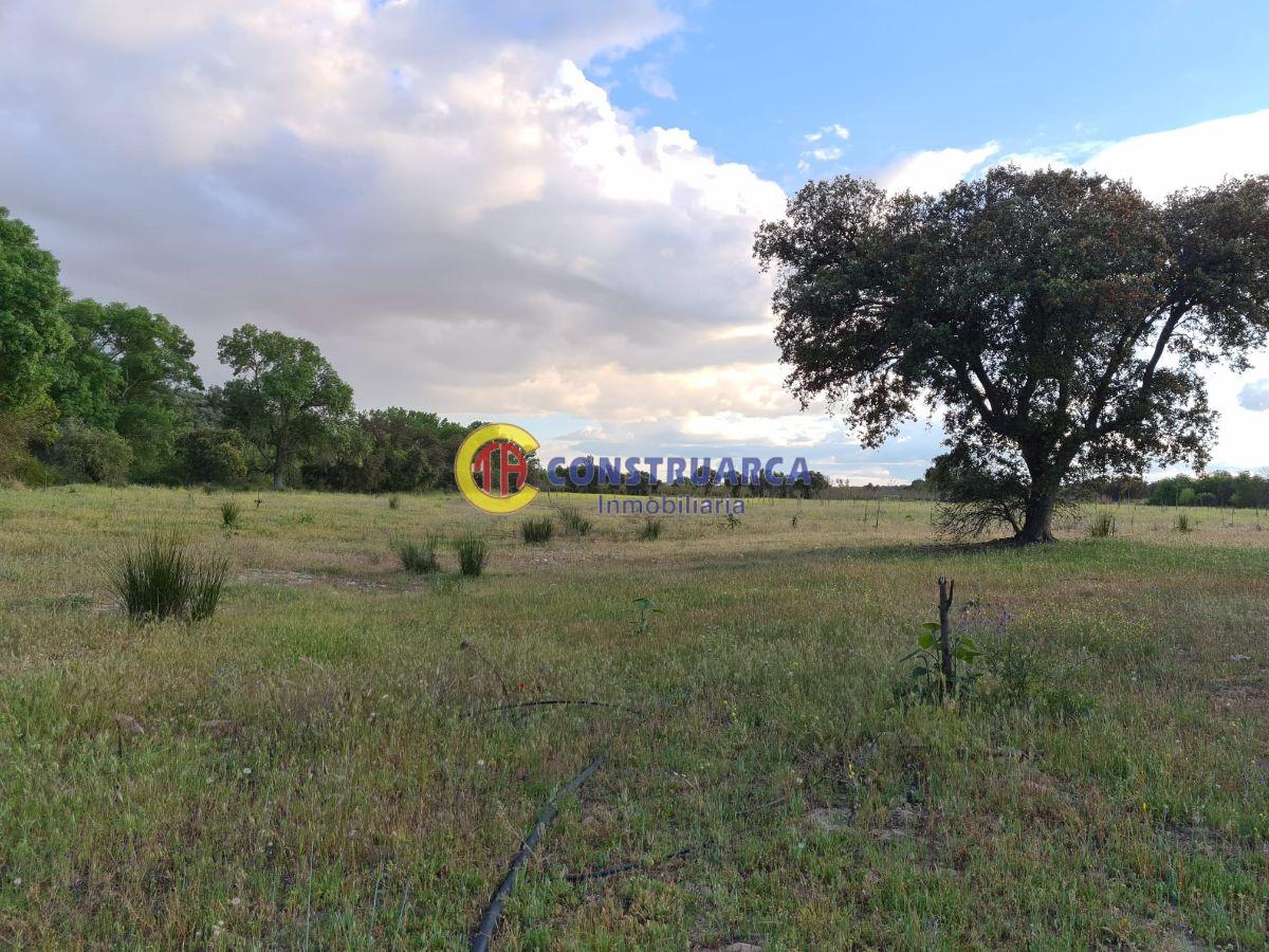 Venta de terreno en Malpica de Tajo