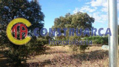 Venta de terreno en Pepino