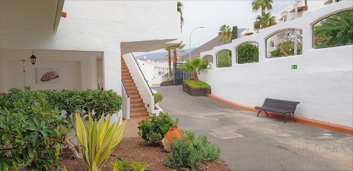 For sale of study in Arona