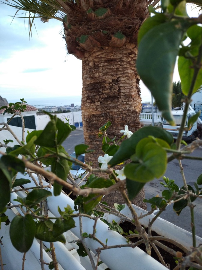 For sale of apartment in Arona
