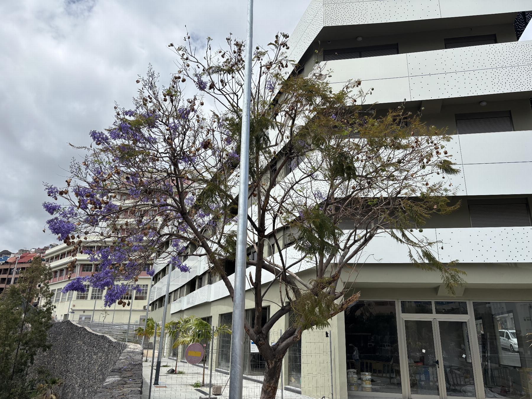 Venta de apartamento en Santa Cruz