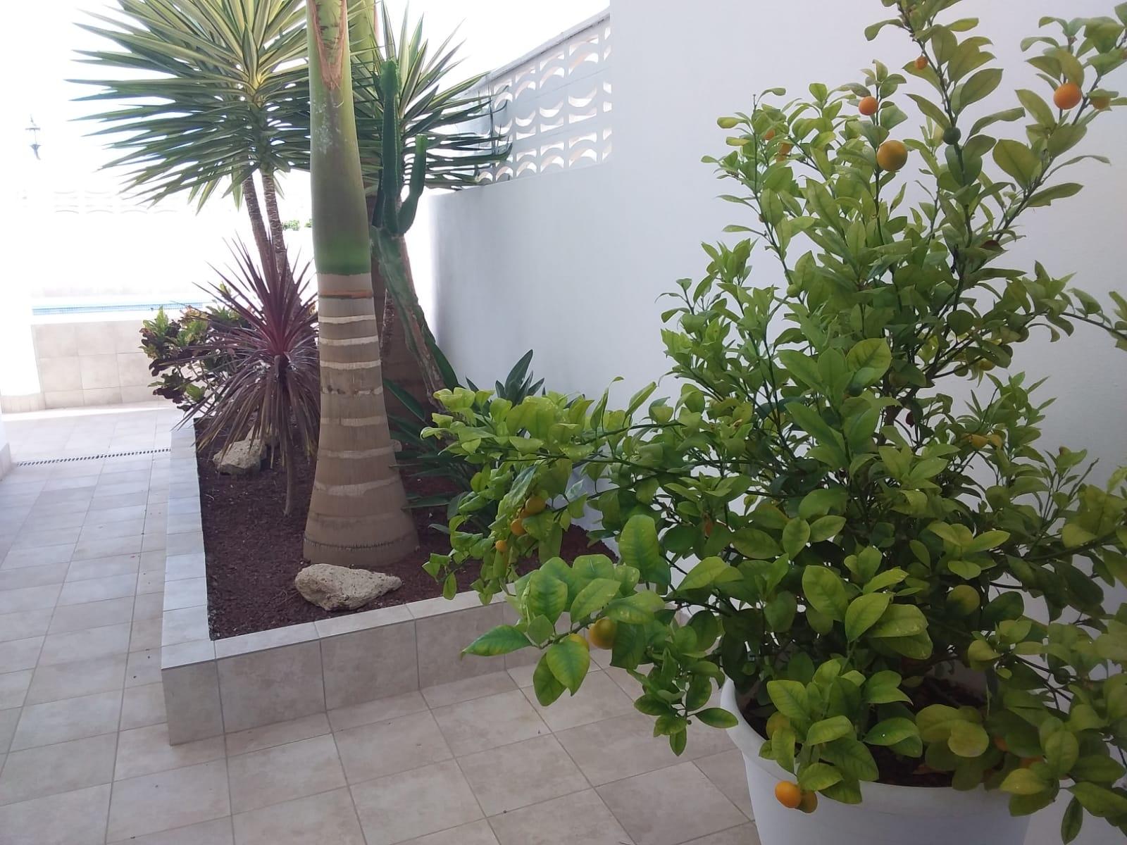 For sale of house in Arona