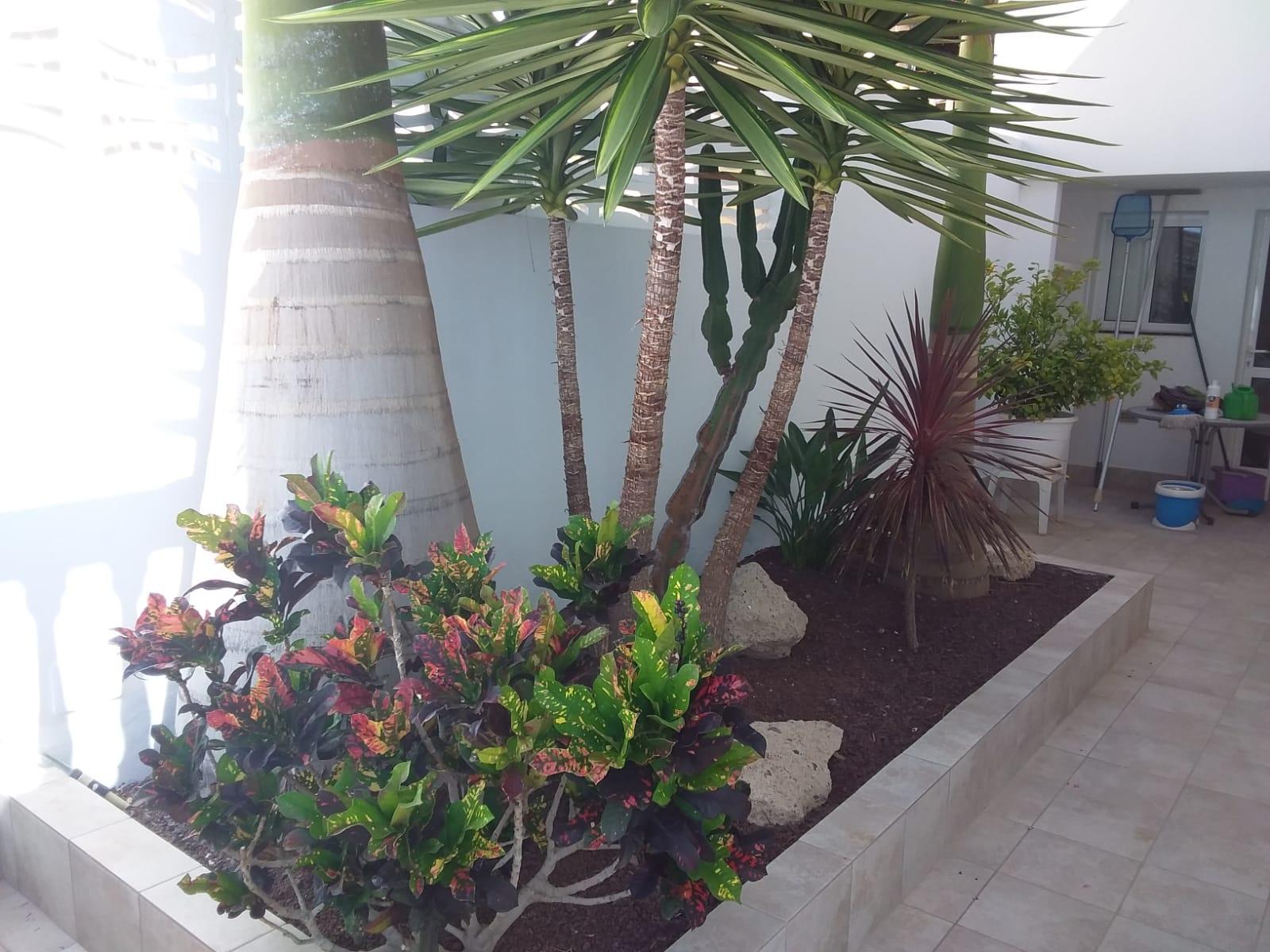 For sale of house in Arona