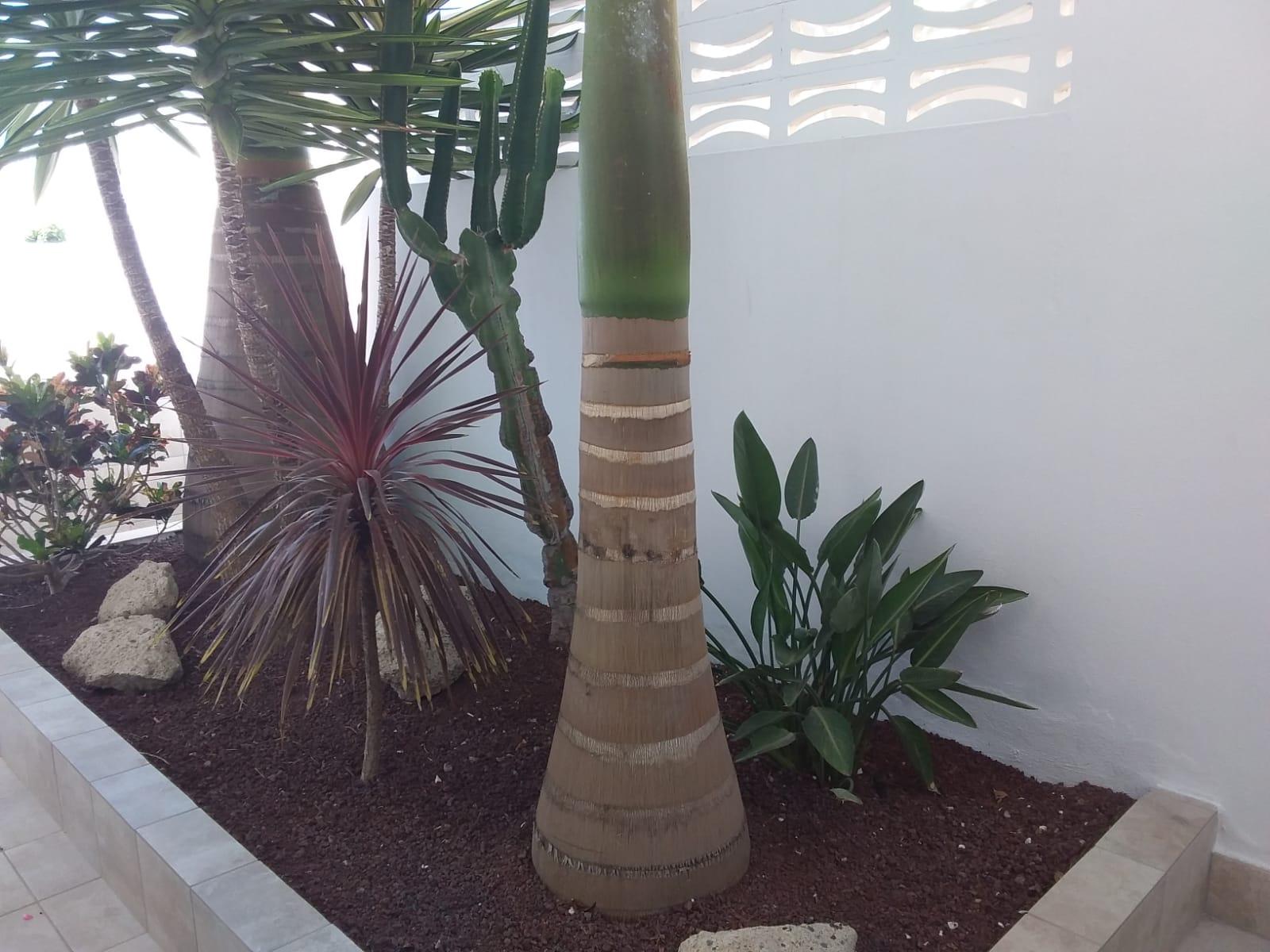 For sale of house in Arona