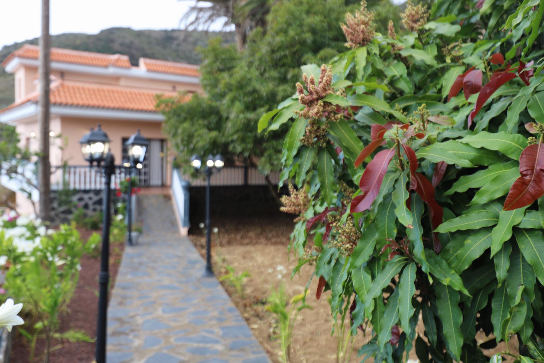 For sale of house in Los Silos