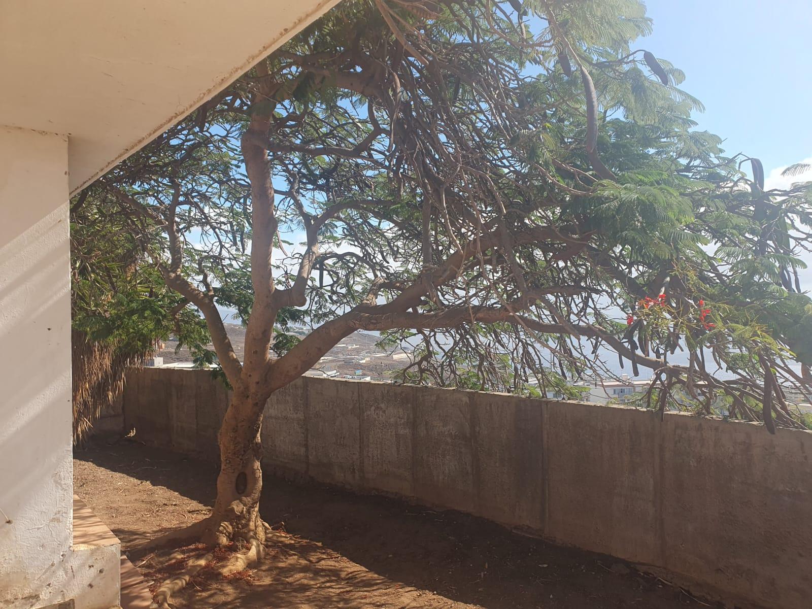 For sale of house in Santa Cruz