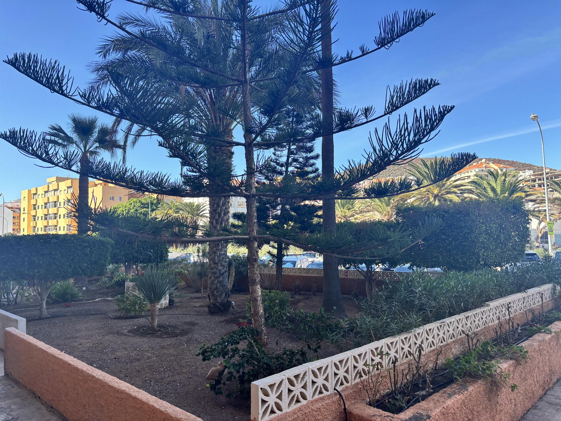 For sale of apartment in Playa de los Cristianos