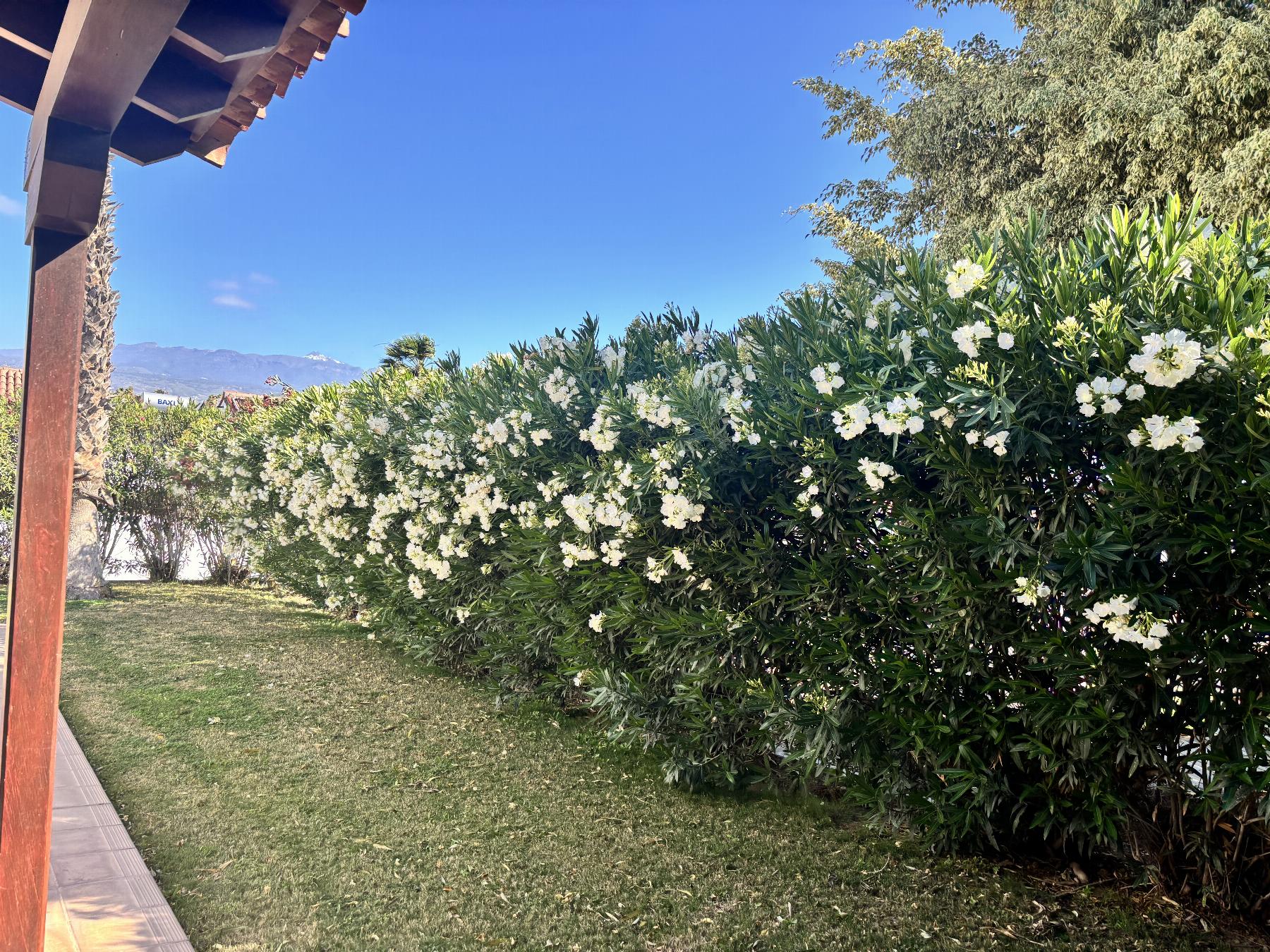 For sale of house in San Miguel de Abona