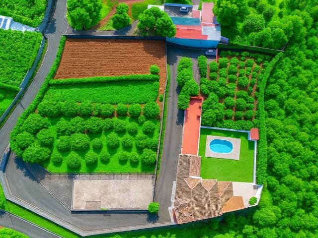 Venta de finca rústica en El Rosario