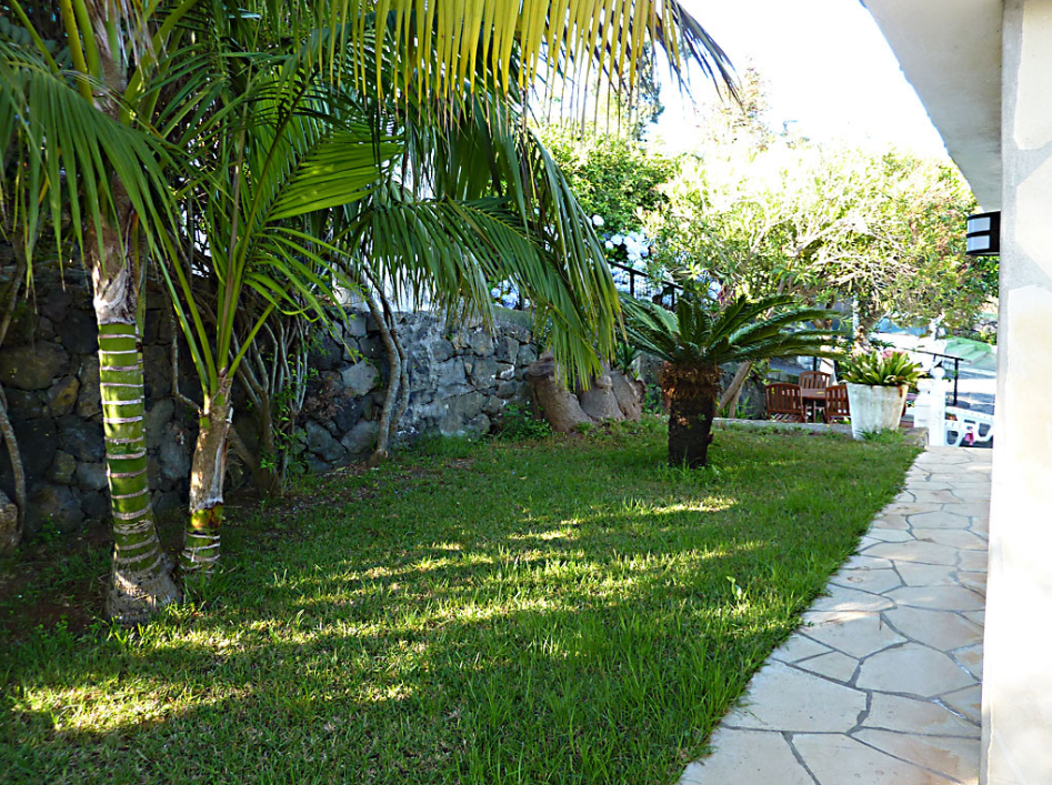 Venta de finca rústica en Santa Úrsula