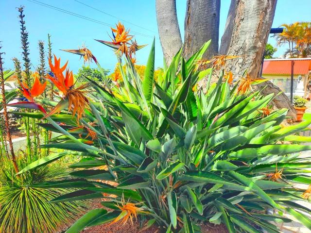 Venta de casa en Santa Úrsula