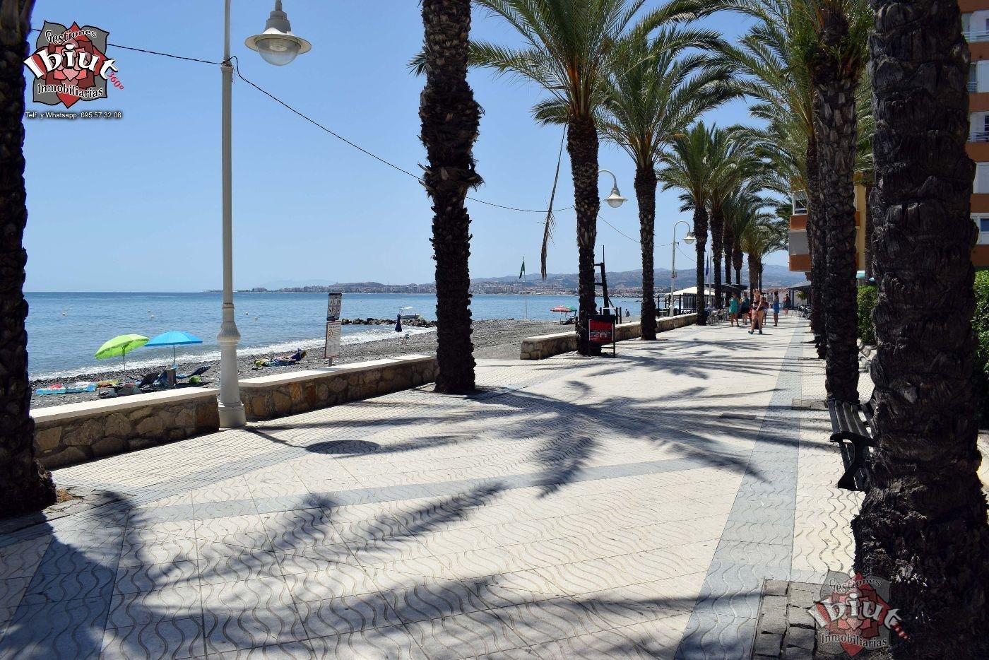 For rent of apartment in Algarrobo Costa