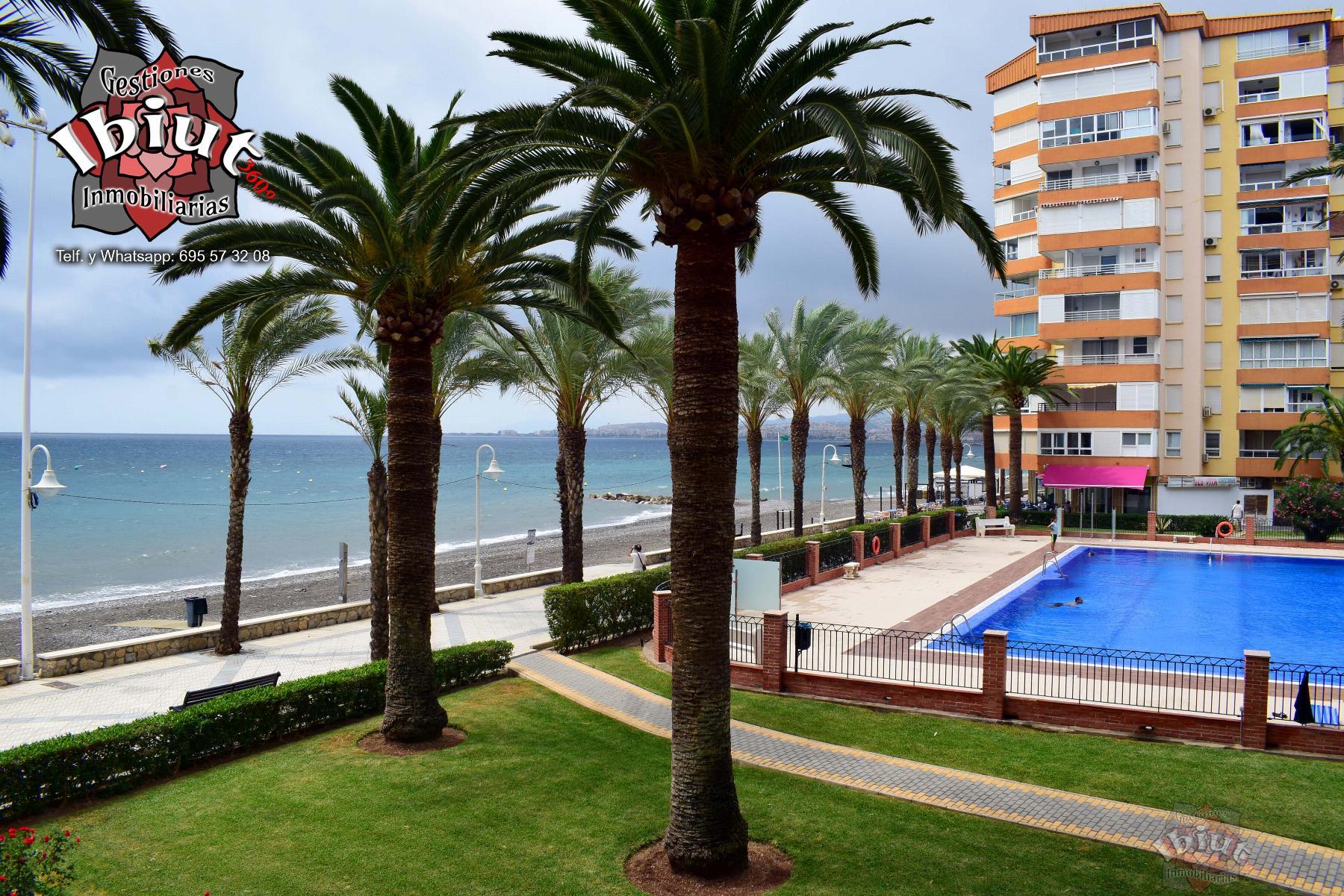 For rent of apartment in Algarrobo Costa