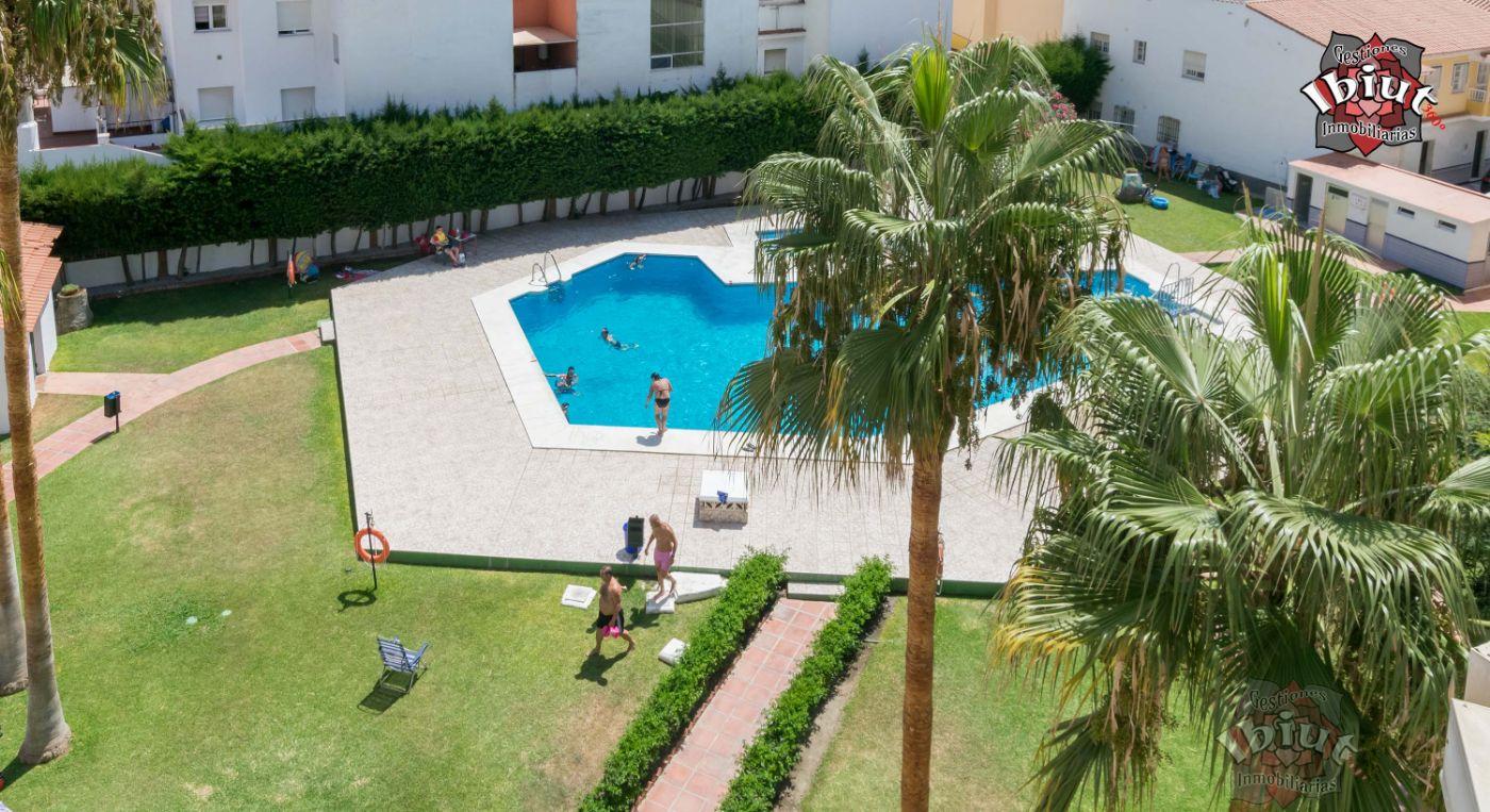 For rent of study in Torre del Mar