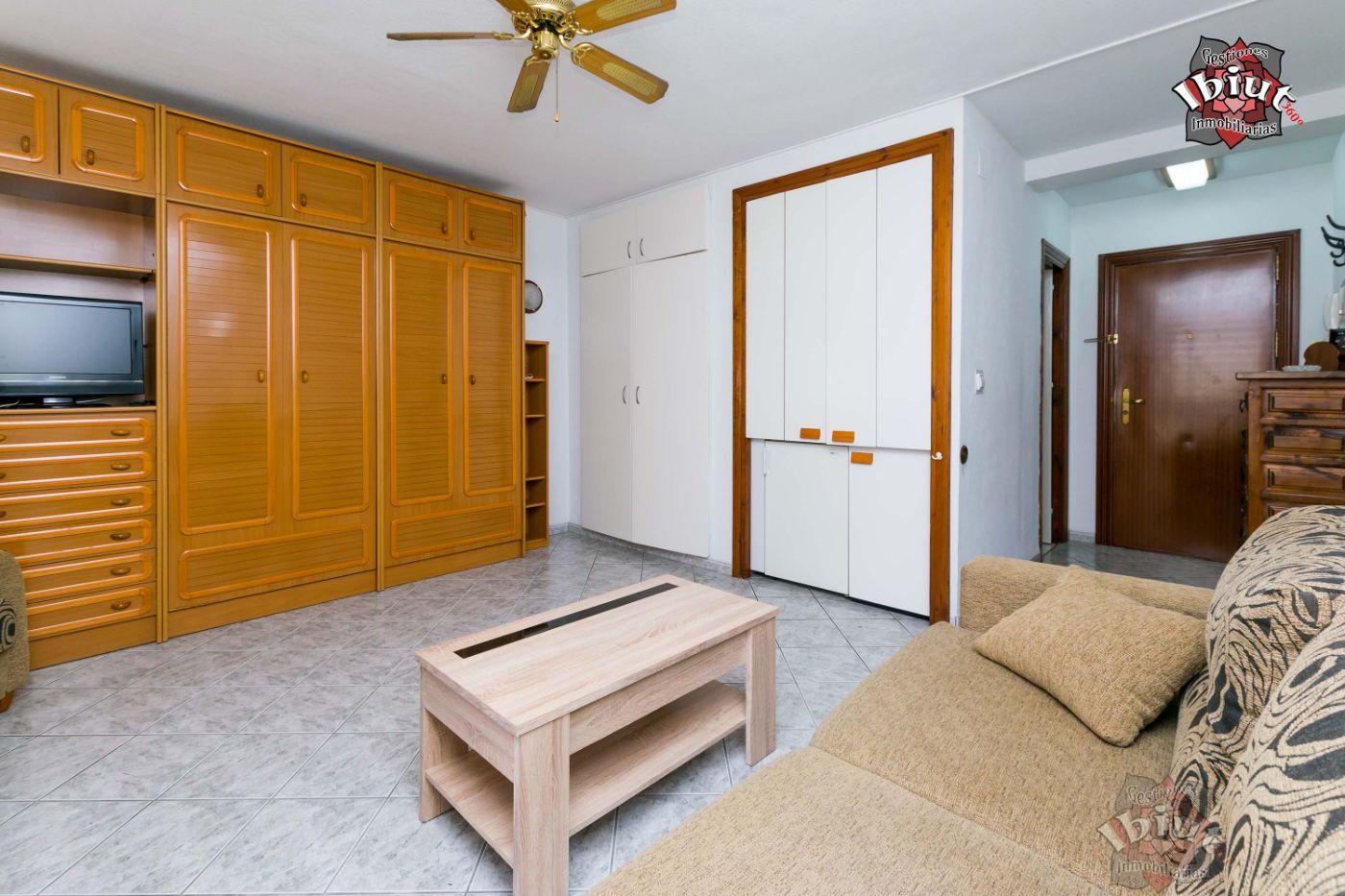 Alquiler de estudio en Torre del Mar