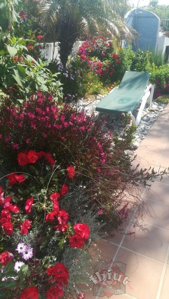 For rent of house in Torrox-Costa