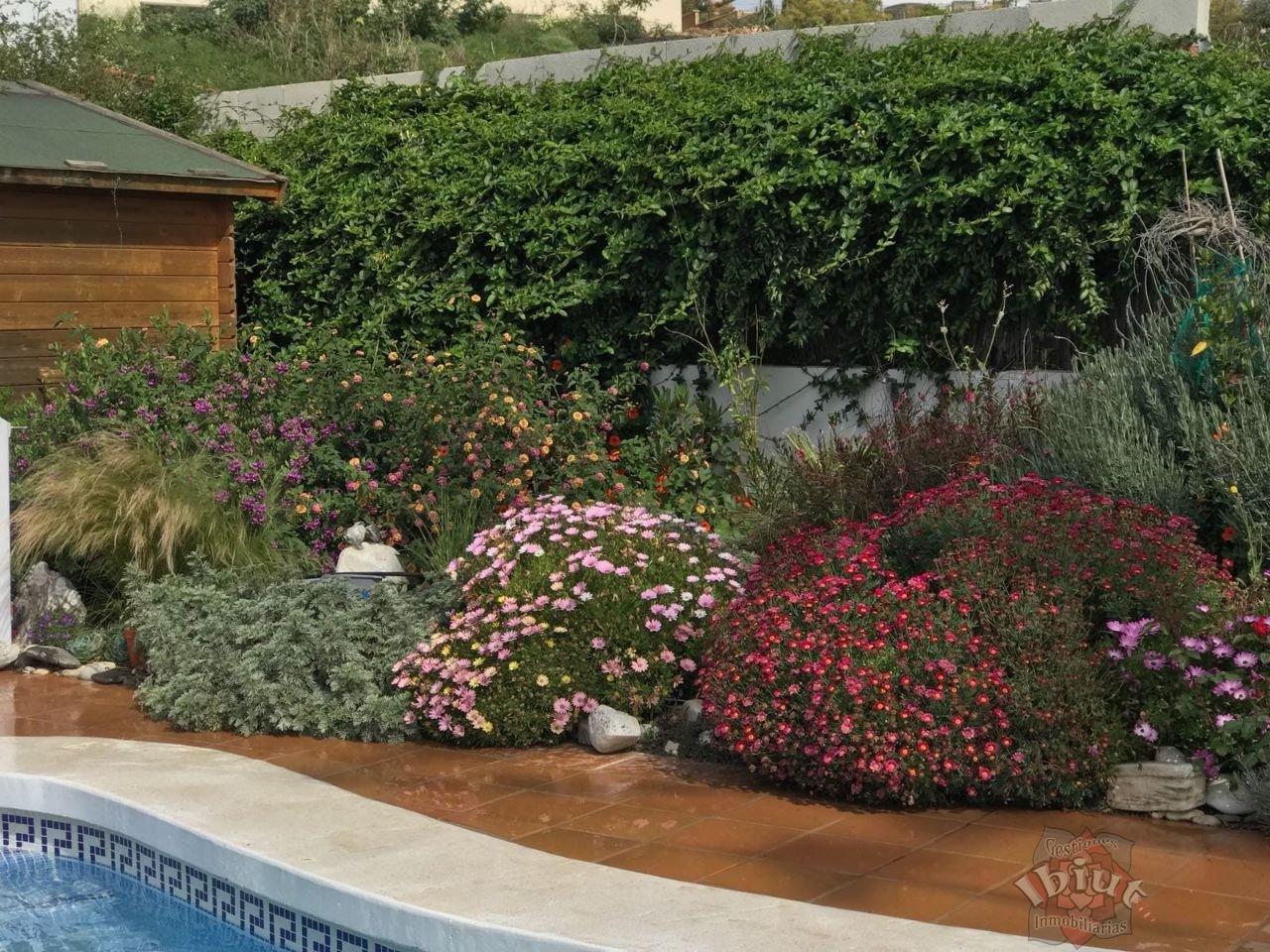 For rent of house in Torrox-Costa