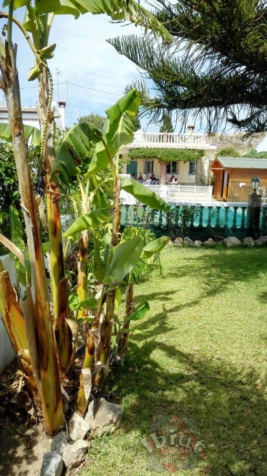 For rent of house in Torrox-Costa