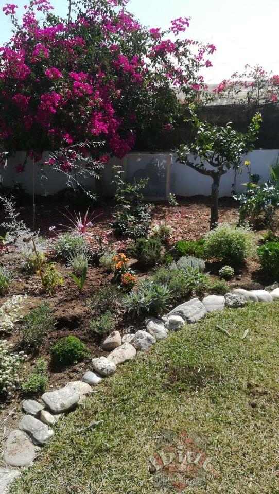For rent of house in Torrox-Costa