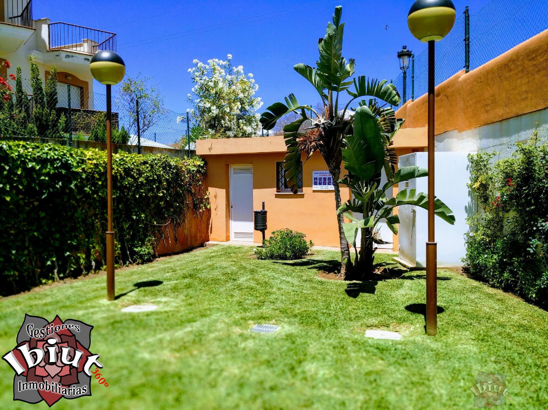 For rent of flat in Torrox-Costa