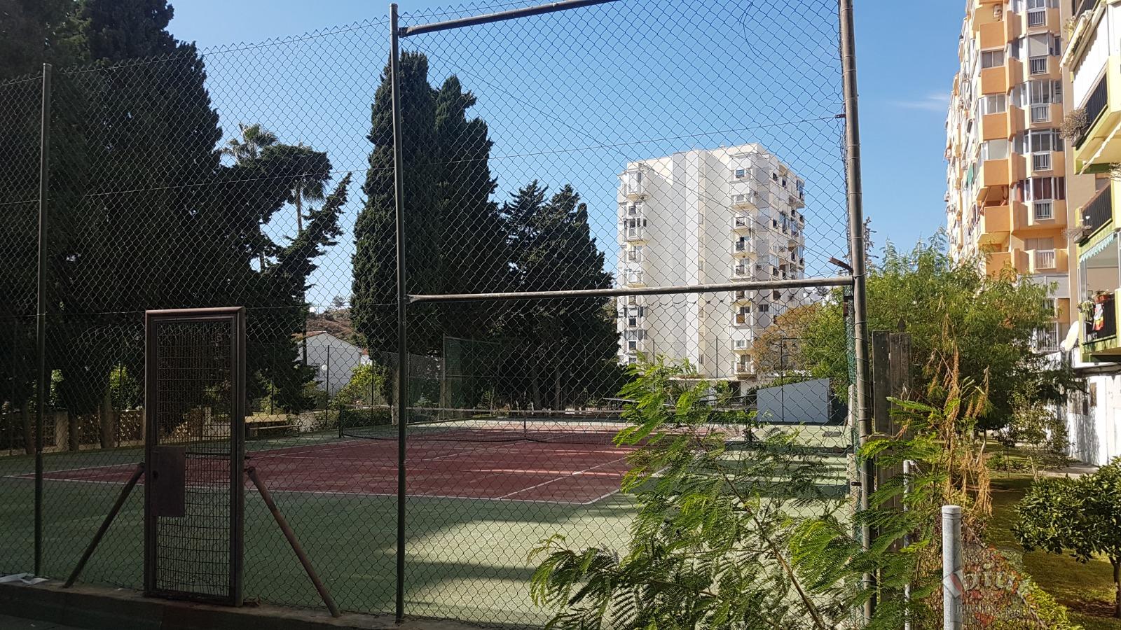 Alquiler de estudio en Torre del Mar