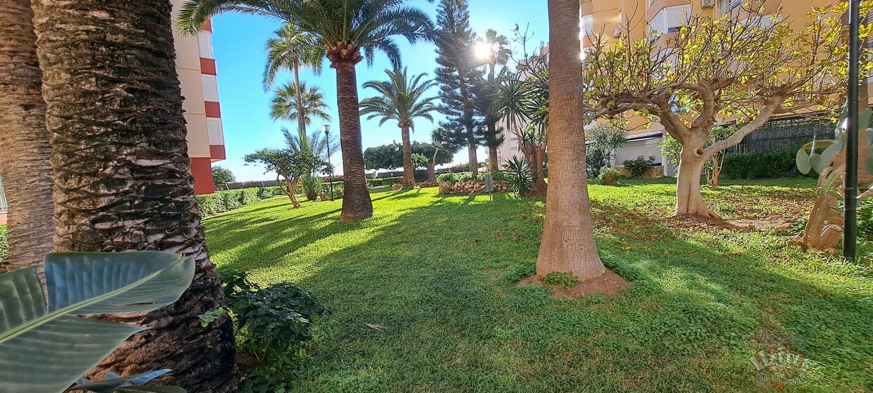 For rent of study in Torrox-Costa