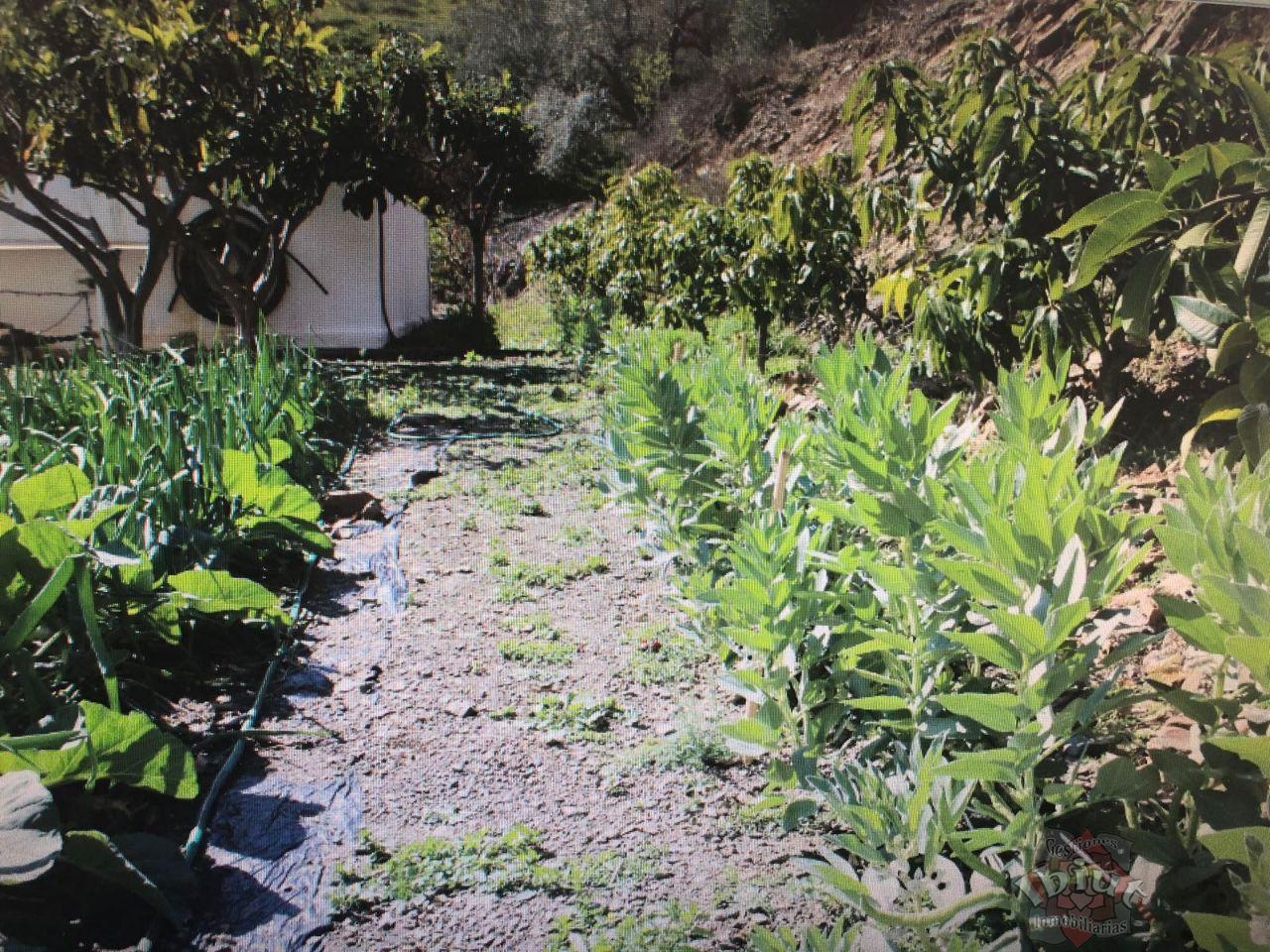 For rent of rural property in Macharaviaya