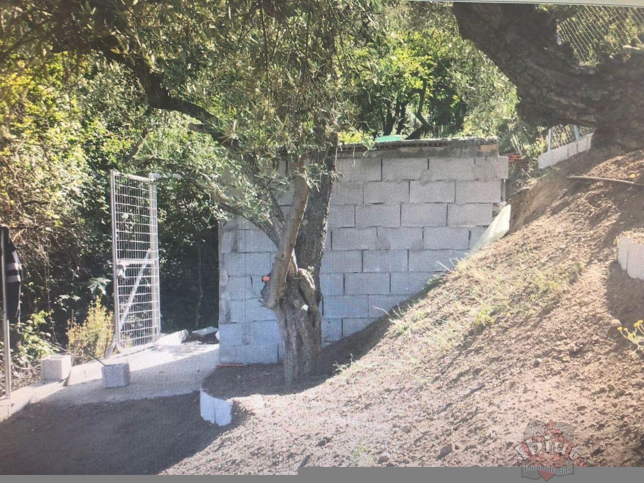 For rent of rural property in Macharaviaya