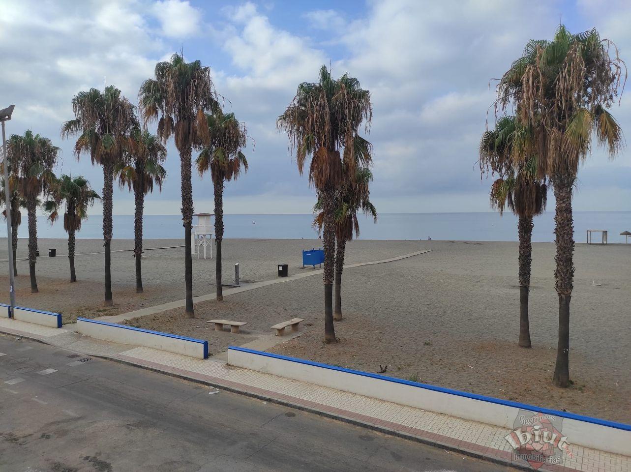 Alquiler de apartamento en Caleta de Vélez