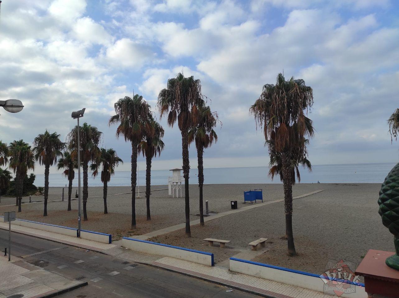 Alquiler de apartamento en Caleta de Vélez