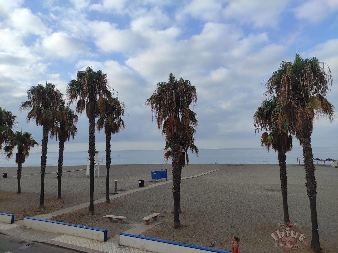 Alquiler de apartamento en Caleta de Vélez